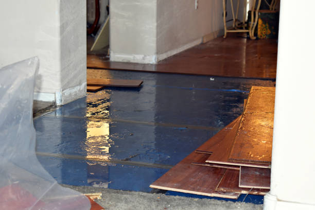Professional Basement Flood Cleanup technician working in Cressona, PA